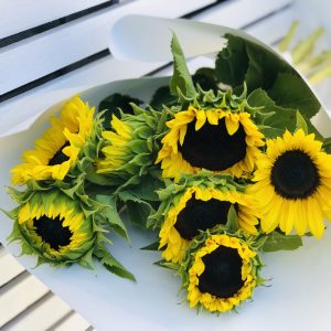 SUNFLOWERS 🌻(Out of stock)